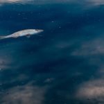 Água contaminada por agrotóxicos em MS