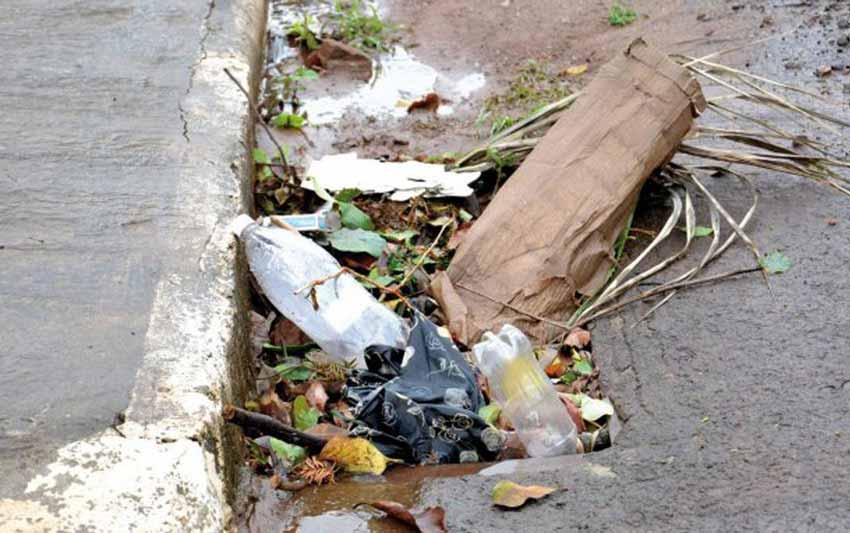 Recicláveis e lixo comum: tudo na rua - Aquele Mato