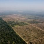 Desmatamento cai 65% no Pantanal e 11,5% no Cerrado, mostra levantamento do Inpe