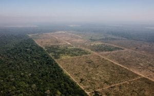 Desmatamento cai 65% no Pantanal e 11,5% no Cerrado, mostra levantamento do Inpe