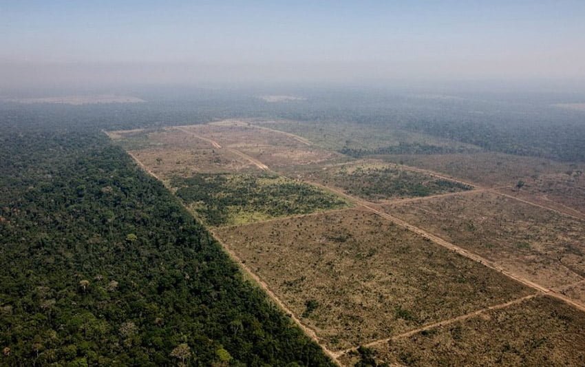 Desmatamento cai 65% no Pantanal e 11,5% no Cerrado, mostra levantamento do Inpe