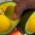 Não encontramos frutos do Cerrado nos supermercados