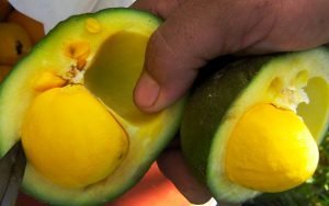 Não encontramos frutos do Cerrado nos supermercados