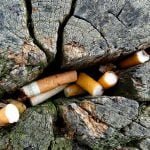 Vermicompostagem para transformar cigarro em adubo