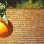 Quem é o dono da fruta?