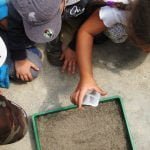 Educação ambiental – como ensinar as crianças