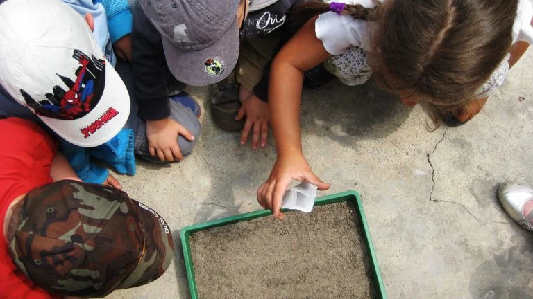 Educação Ambiental