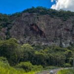 RPPN – Entenda o que é uma reserva particular