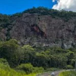 RPPN – Entenda o que é uma reserva particular