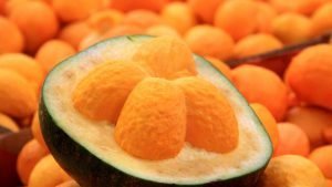 Receitas com frutas do cerrado