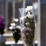 Covid-19 e o perigo do necrochorume nos cemitérios