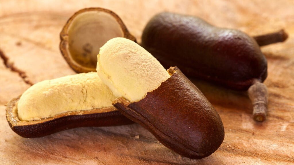 Plantas comestíveis no Pantanal