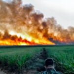 Incêndio no Pantanal e o povo pantaneiro