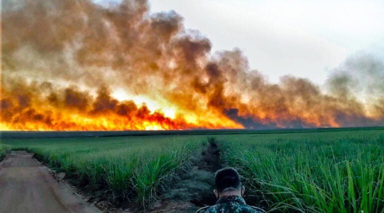 Incêndio no Pantanal e o povo pantaneiro