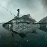 Pesca é fachada para turismo sexual em MS