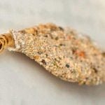 Chamando controle de traças