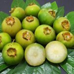 Guavira, símbolo de Mato Grosso do Sul