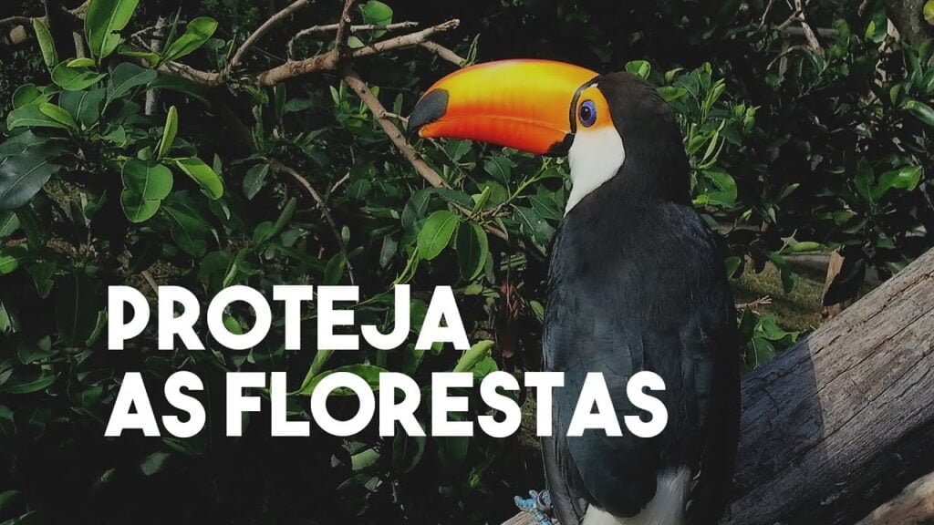 Proteja as Florestas