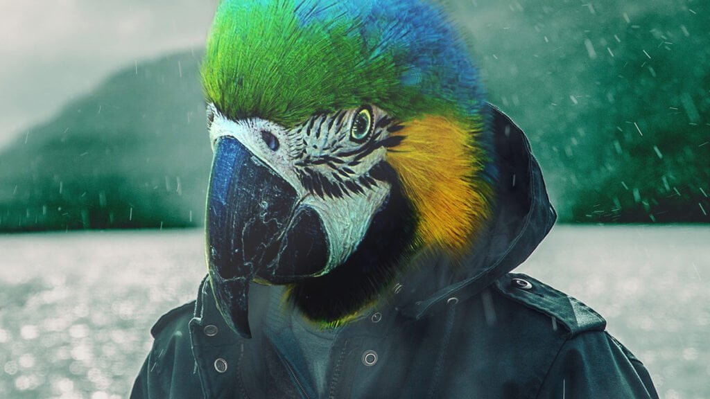 O que fazer no frio? 5 experiências em MS que ficam ainda mais gostosas nessa época