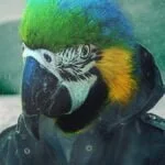 O que fazer no frio em MS? 5 experiências que ficam ainda melhores com o clima ameno