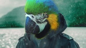 O que fazer no frio? 5 experiências em MS que ficam ainda mais gostosas nessa época