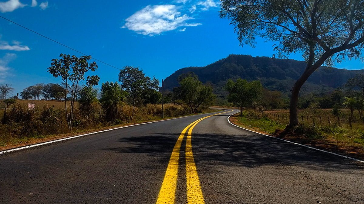 Na ‘estrada da morte’ do Pantanal, projeto de lei contra atropelamento de fauna avança no Senado