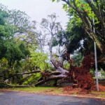 5x que a natureza se revoltou em MS