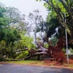 5x que a natureza se revoltou em MS