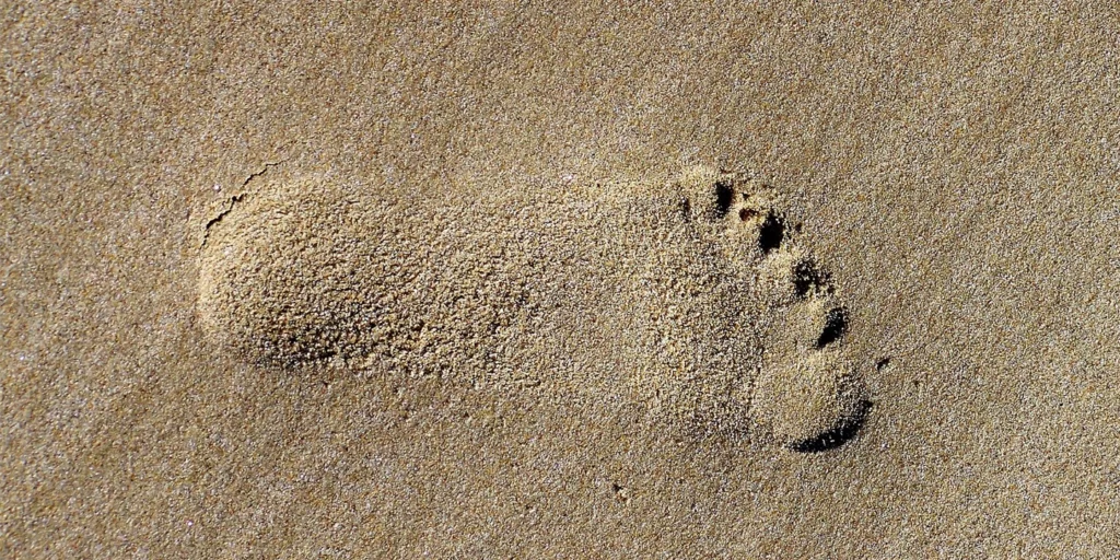 Por que devemos nos preocupar com a pegada de carbono?