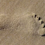 Por que devemos nos preocupar com a pegada de carbono?