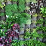 Jardins verticais: beleza e funcionalidade em pequenos espaços