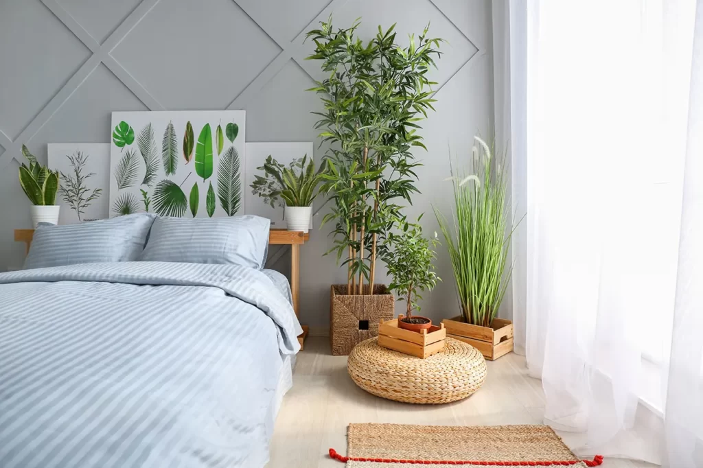 Plantas dentro de casa – Integração da natureza no interior da casa