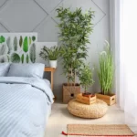 Plantas dentro de casa – Integração da natureza no interior da casa