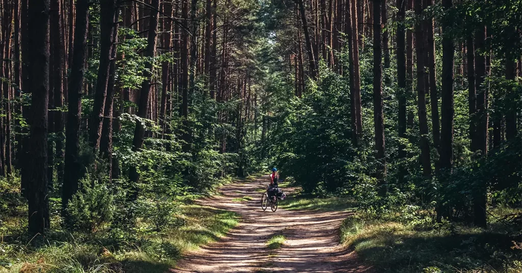 12 passos para deixar uma pegada positiva neste ano novo