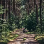 12 passos para deixar uma pegada positiva neste ano novo