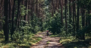 12 passos para deixar uma pegada positiva neste ano novo