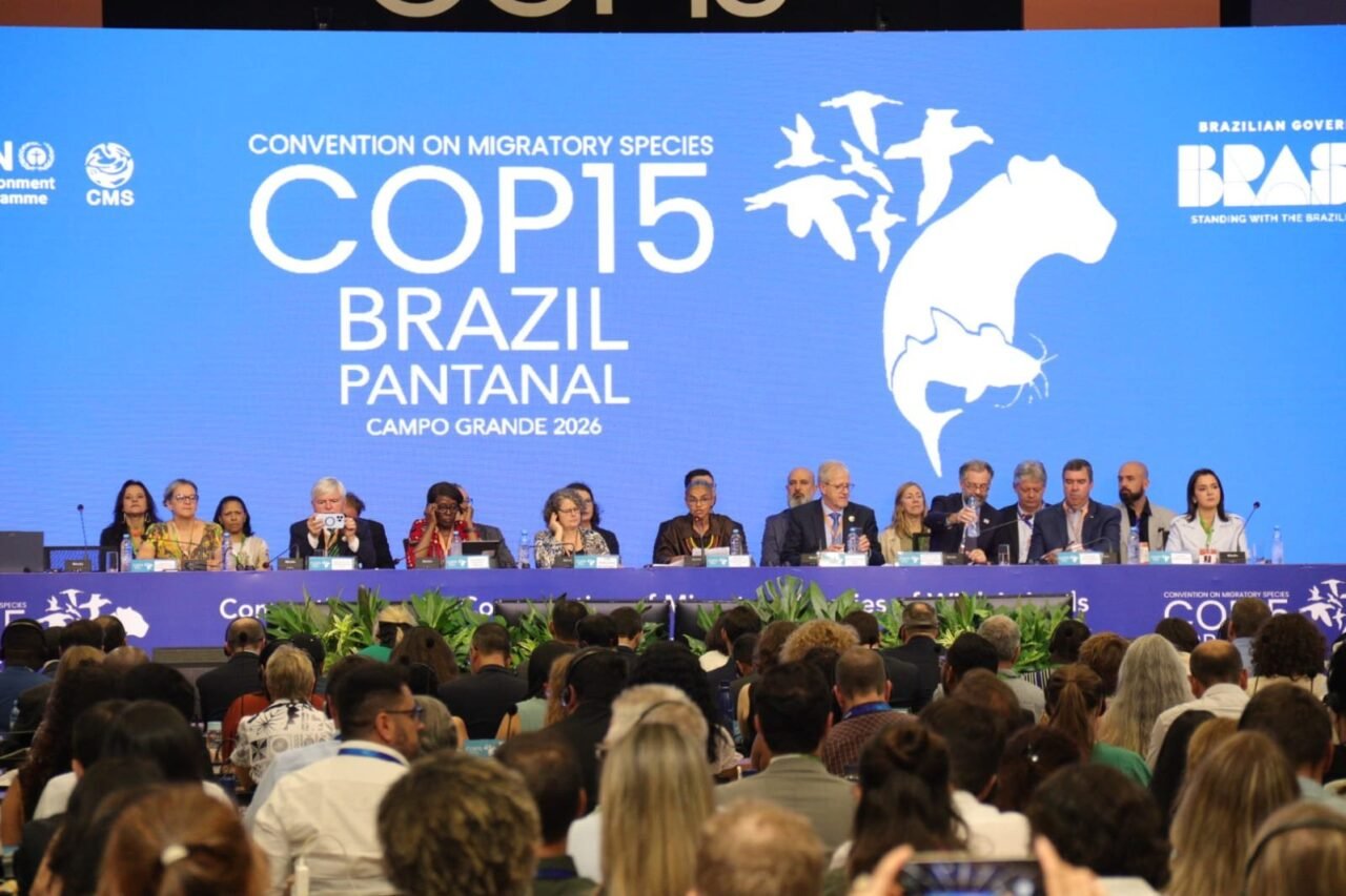 COP 15 em Campo Grande: Pantanal no centro das decisões