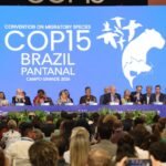 COP 15 em Campo Grande: Pantanal no centro das decisões