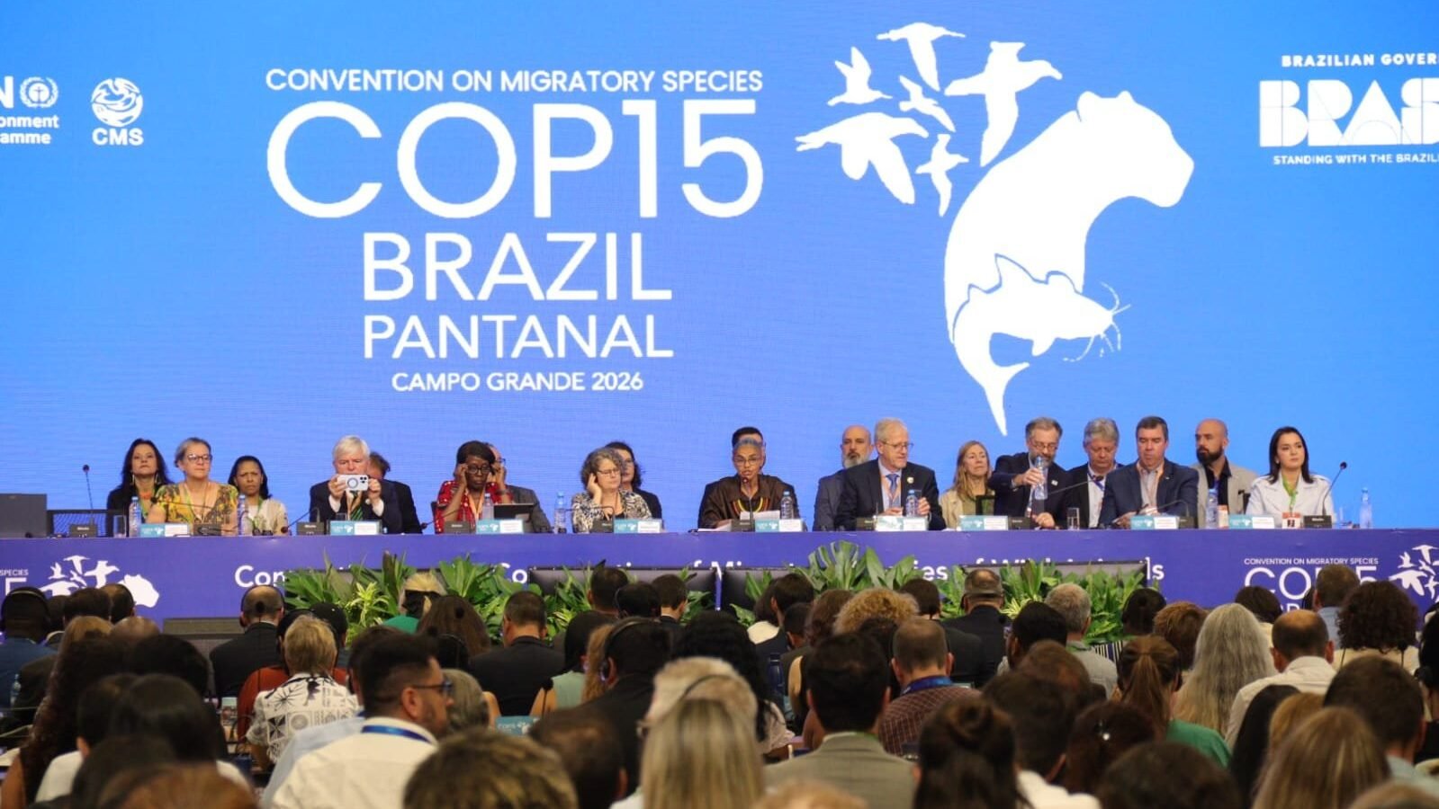 COP 15 em Campo Grande: Pantanal no centro das decisões