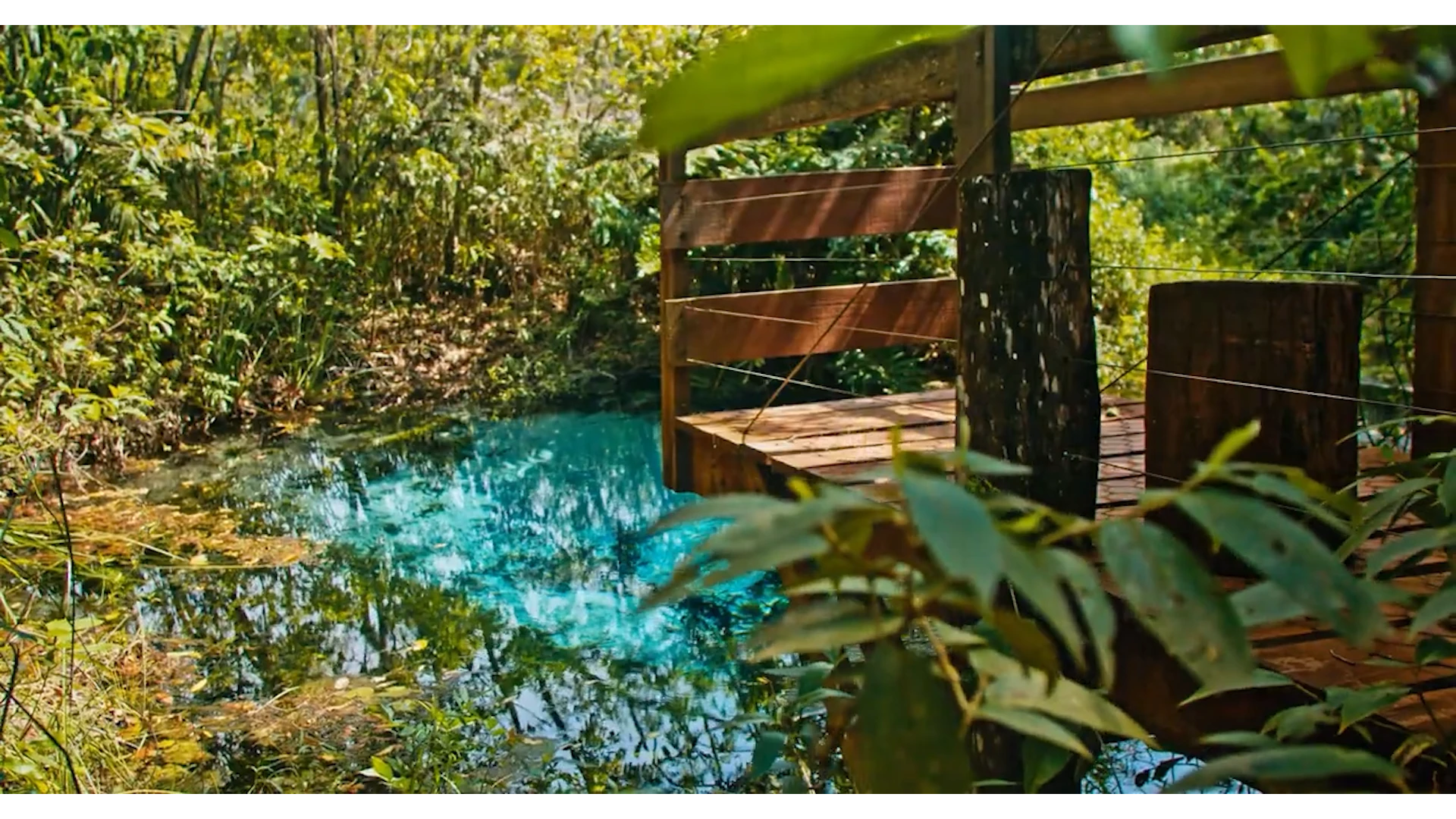 MS digitaliza o turismo com mais de 500 estabelecimentos