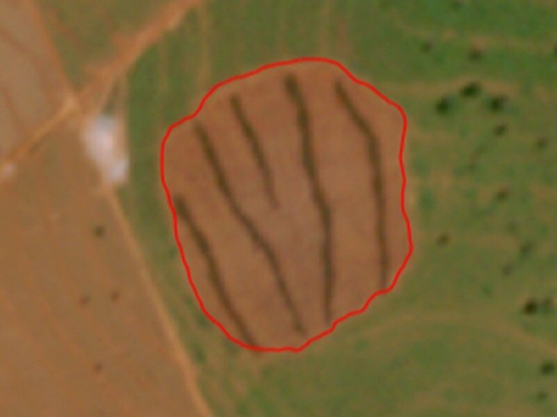 Satélites flagram desmate ilegal e geram multa de R$ 100 mil em Cassilândia