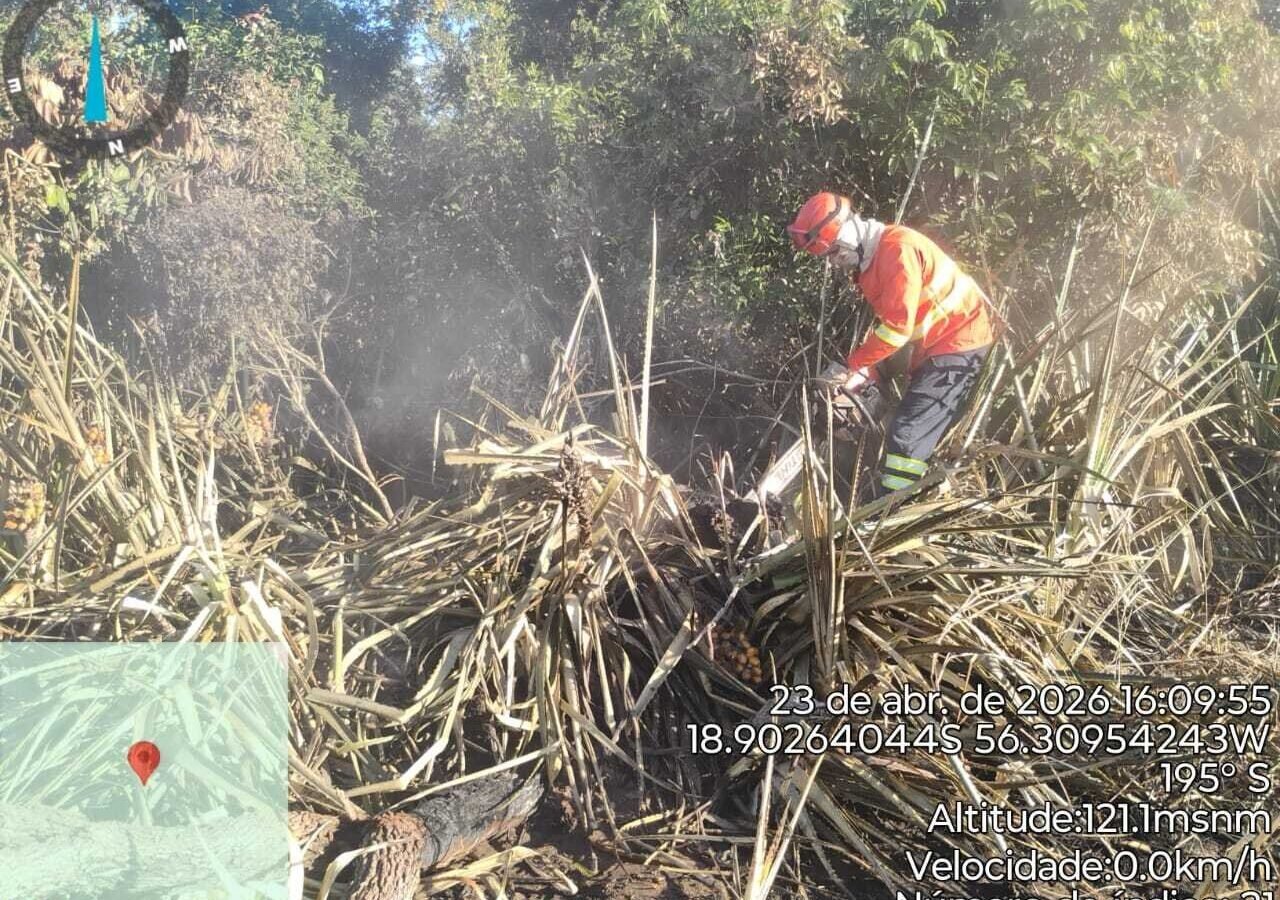 Com fogo no Nabileque, bombeiros e pantaneiros travam batalha contra as chama