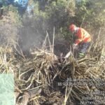 Com fogo no Nabileque, bombeiros e pantaneiros travam batalha contra as chama