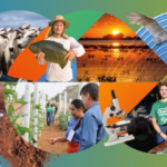 Pantanal Tech é evento que prova que o futuro de MS é verde, tecnológico e sustentável