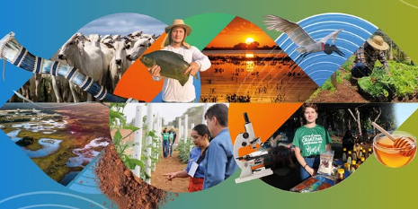 Pantanal Tech é evento que prova que o futuro de MS é verde, tecnológico e sustentável