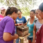 Mulheres pantaneiras transformam mel de abelhas nativas em fonte de renda