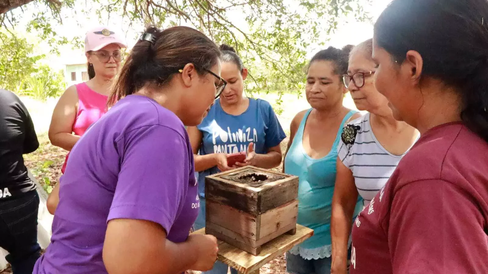 Mulheres pantaneiras transformam mel de abelhas nativas em fonte de renda