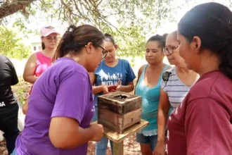 Mulheres pantaneiras transformam mel de abelhas nativas em fonte de renda