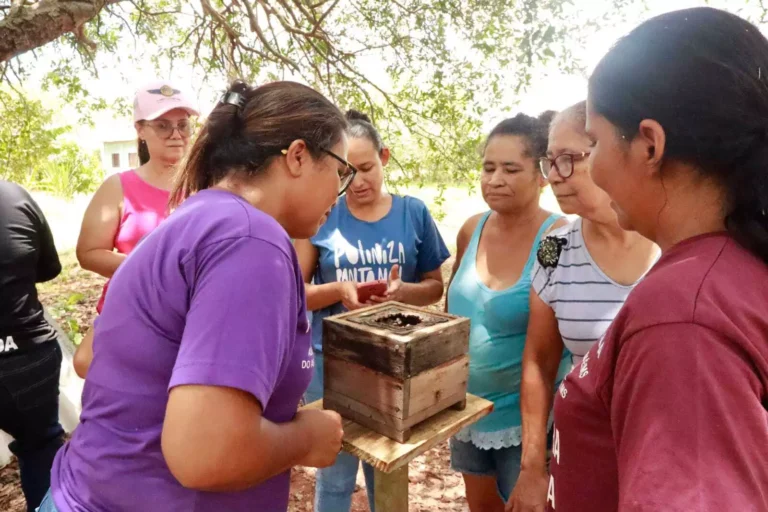 Mulheres pantaneiras transformam mel de abelhas nativas em fonte de renda