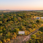 Mato Grosso do Sul registra a menor área desmatada do Brasil nos últimos 7 anos, aponta MapBiomas